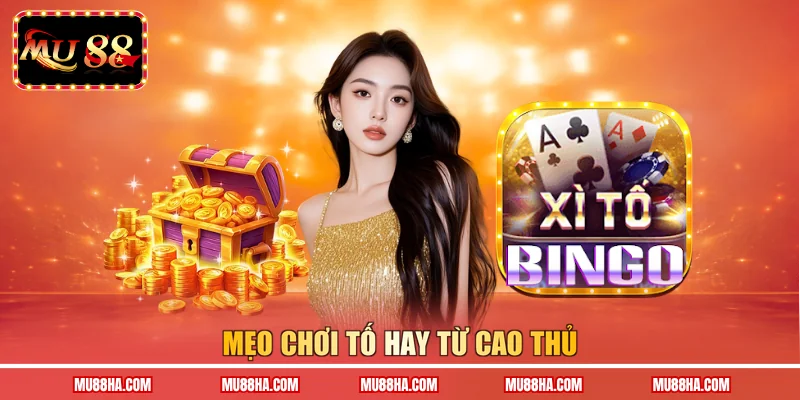 Mẹo chơi Tố hay từ cao thủ